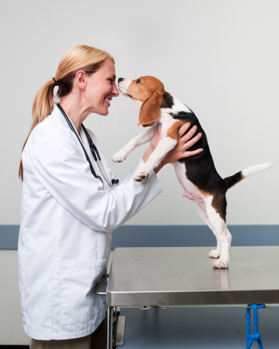 Veterinária com um cachorro